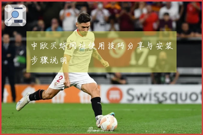 中欧买球网址使用技巧分享与安装步骤说明