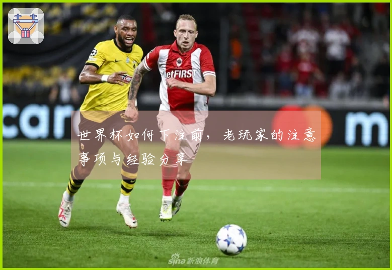 世界杯如何下注前，老玩家的注意事项与经验分享