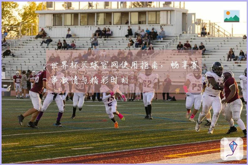 世界杯买球官网使用指南，畅享赛事激情与精彩时刻