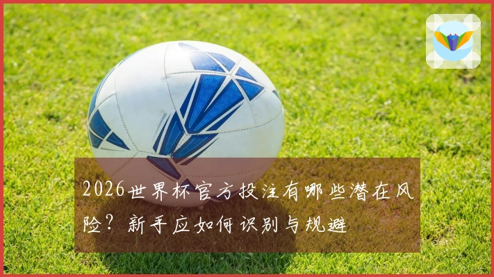 2026世界杯官方投注有哪些潜在风险？新手应如何识别与规避