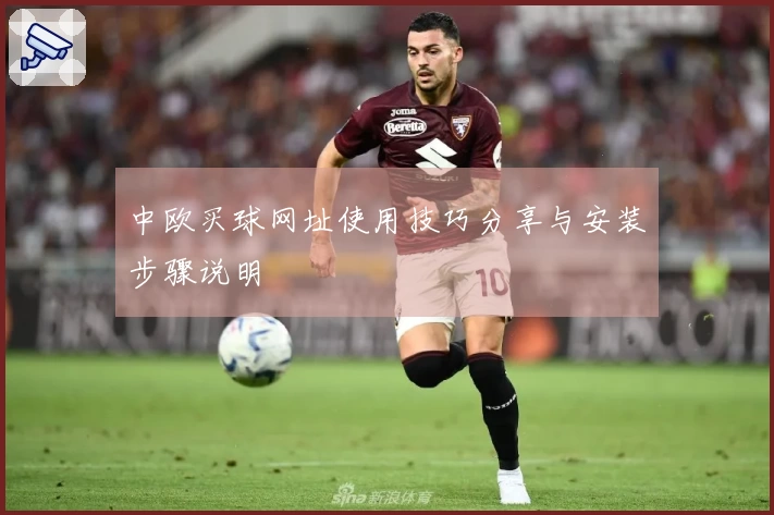 中欧买球网址使用技巧分享与安装步骤说明