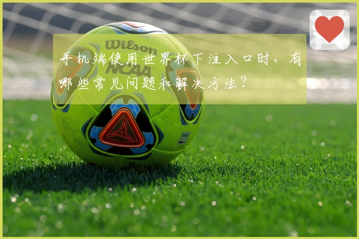 手机端使用世界杯下注入口时，有哪些常见问题和解决方法？