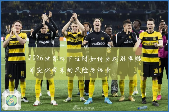 2026世界杯下注时如何分析冠军赔率变化带来的风险与机会