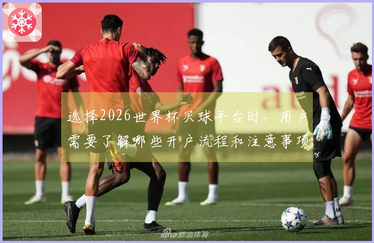 选择2026世界杯买球平台时，用户需要了解哪些开户流程和注意事项？