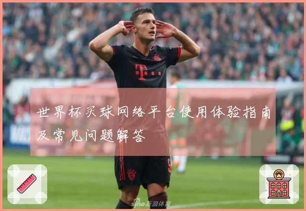 世界杯买球网络平台使用体验指南及常见问题解答