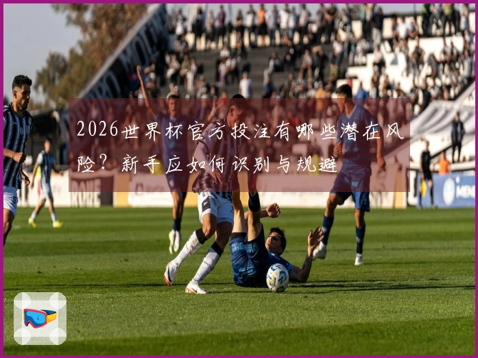 2026世界杯官方投注有哪些潜在风险？新手应如何识别与规避