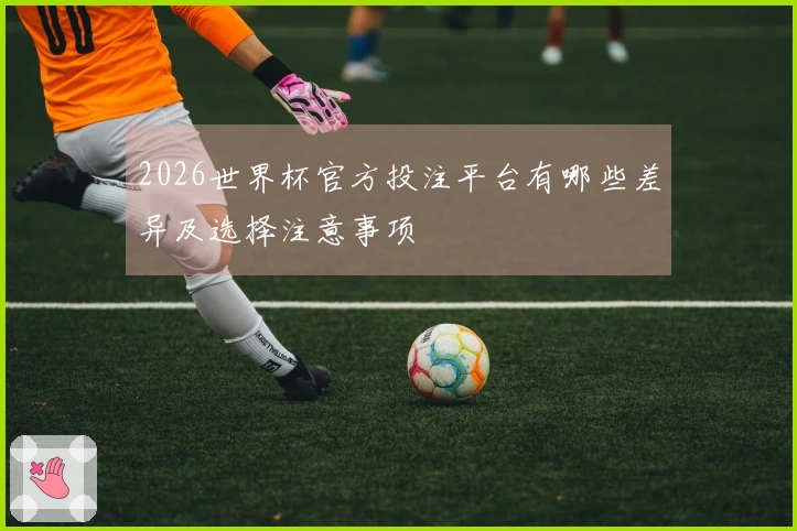 2026世界杯官方投注平台有哪些差异及选择注意事项