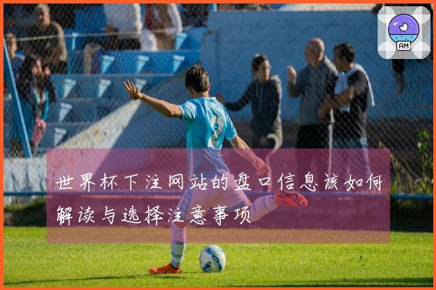 世界杯下注网站的盘口信息该如何解读与选择注意事项