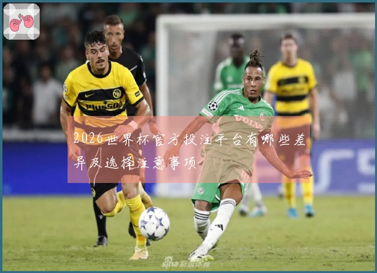 2026世界杯官方投注平台有哪些差异及选择注意事项