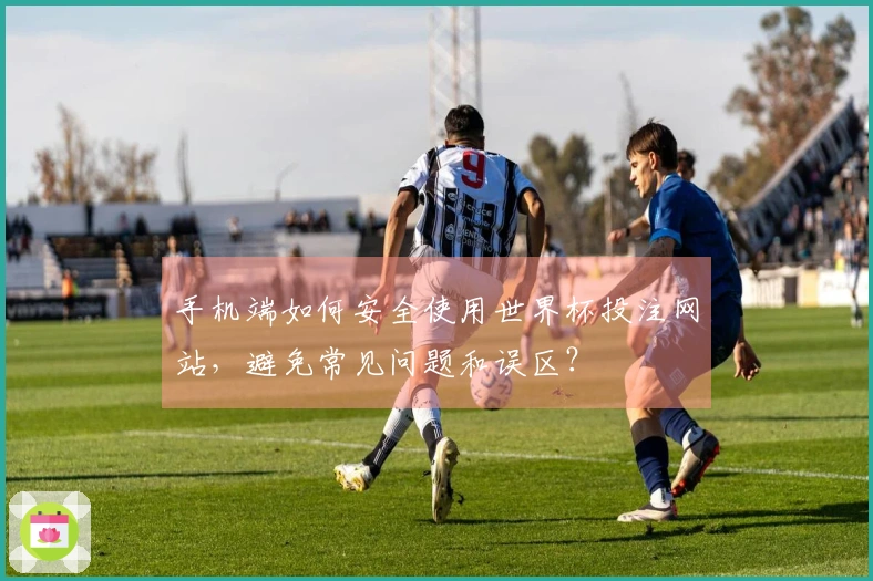 手机端如何安全使用世界杯投注网站，避免常见问题和误区？