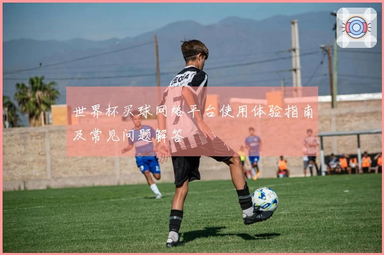 世界杯买球网络平台使用体验指南及常见问题解答