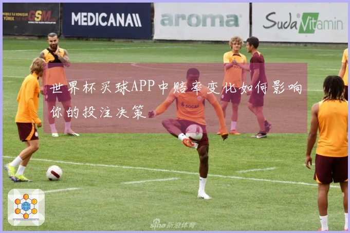 世界杯买球APP中赔率变化如何影响你的投注决策