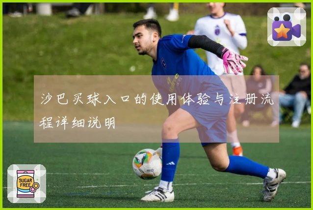 沙巴买球入口的使用体验与注册流程详细说明