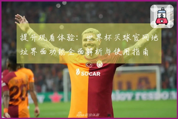 提升观看体验：世界杯买球官网地址界面功能全面解析与使用指南
