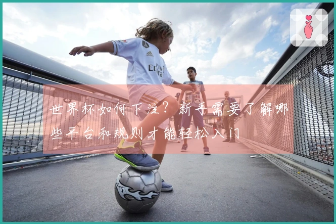 世界杯如何下注？新手需要了解哪些平台和规则才能轻松入门