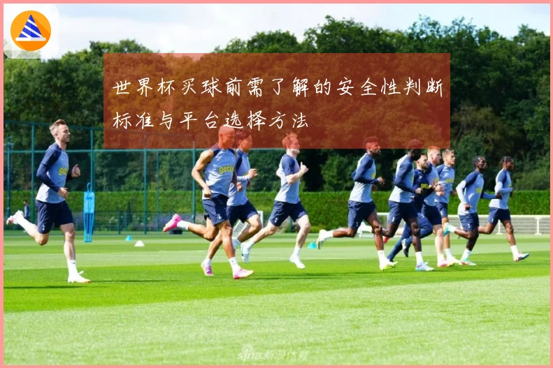 世界杯买球前需了解的安全性判断标准与平台选择方法